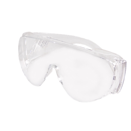 Protective Glasses with Stems Flux