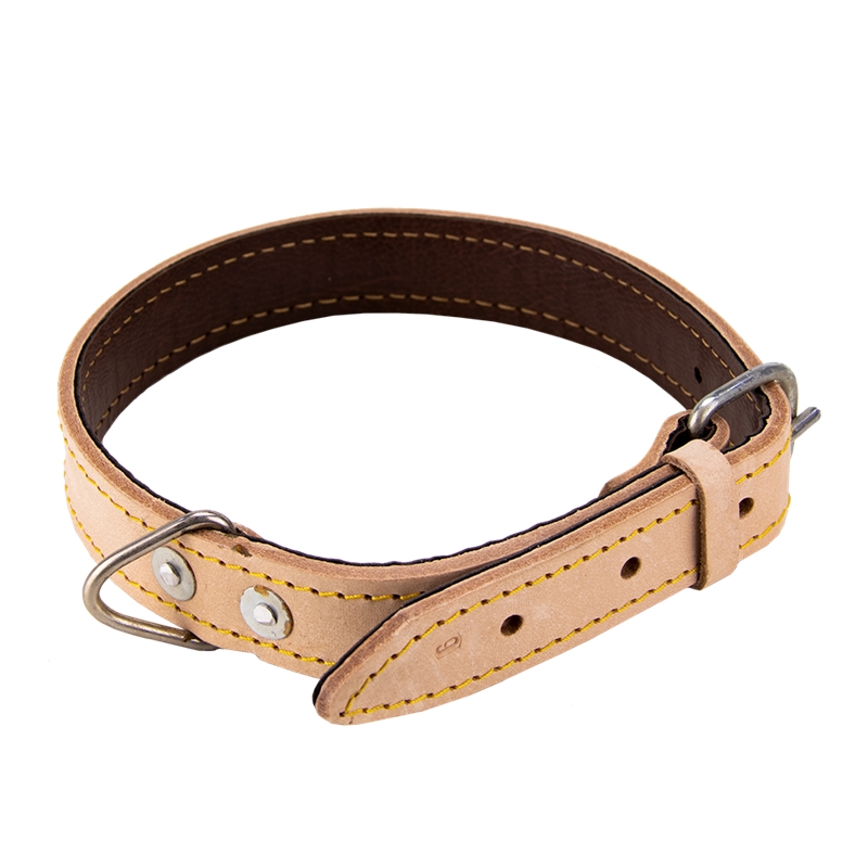 Collar reforzado Boletín Nº5 - FCRPB5